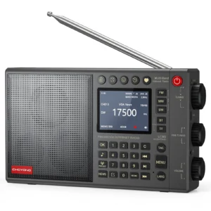 Radio internetowe Choyong LC90